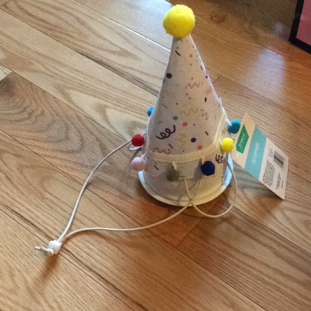 Frisco Confetti dog/cat b-day hat & bow tie FREE MUG w/ purchase!